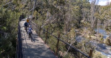 Mountain bikers geared up for summer thrills as Thredbo Valley Track completed