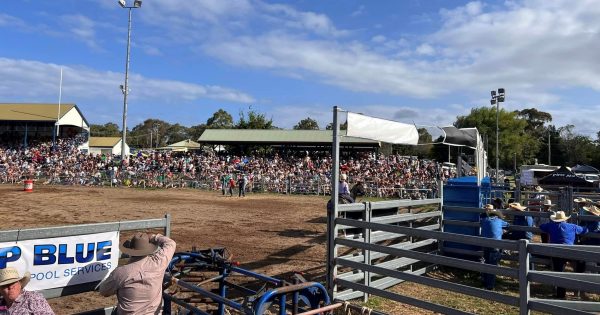 Moruya Rodeo's bucking bulls return this New Year's Day – but don't ride your luck without a booking