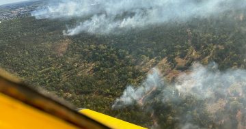 16-year-old boy charged for Griffith bushfires