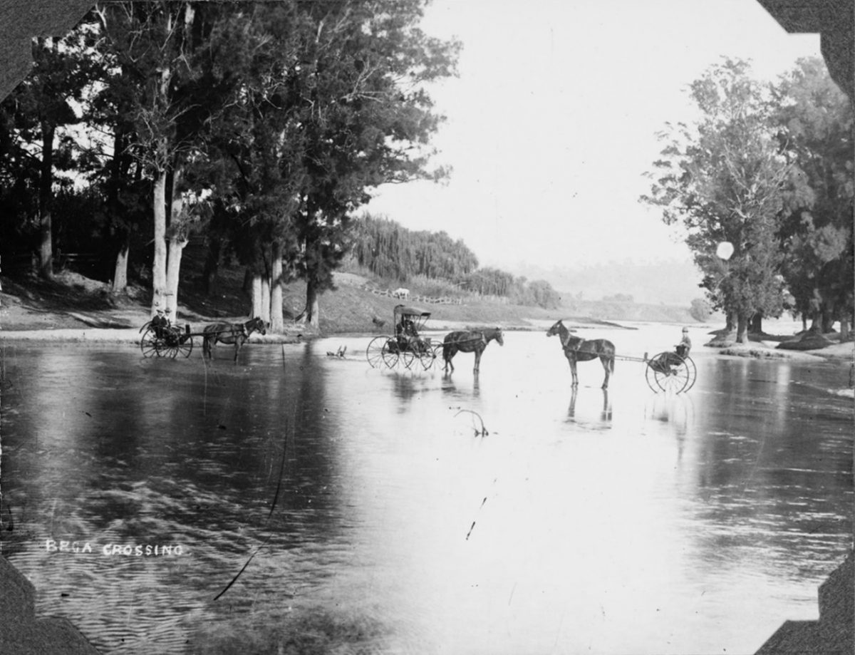 horses cross river