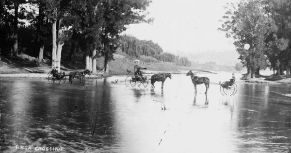 History, art and fishing activities among Seniors' Week celebrations in Bega Valley