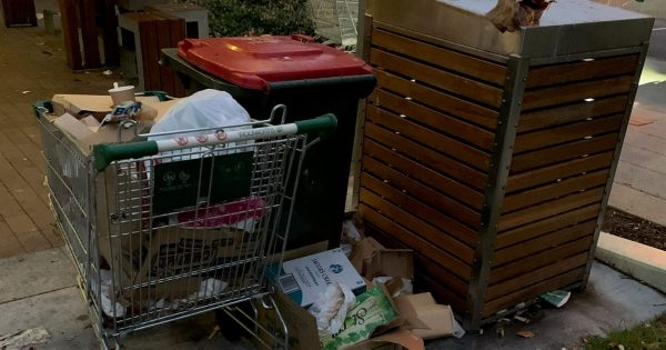 Council pledges to 'do better' after toilets locked and trolleys used as bins