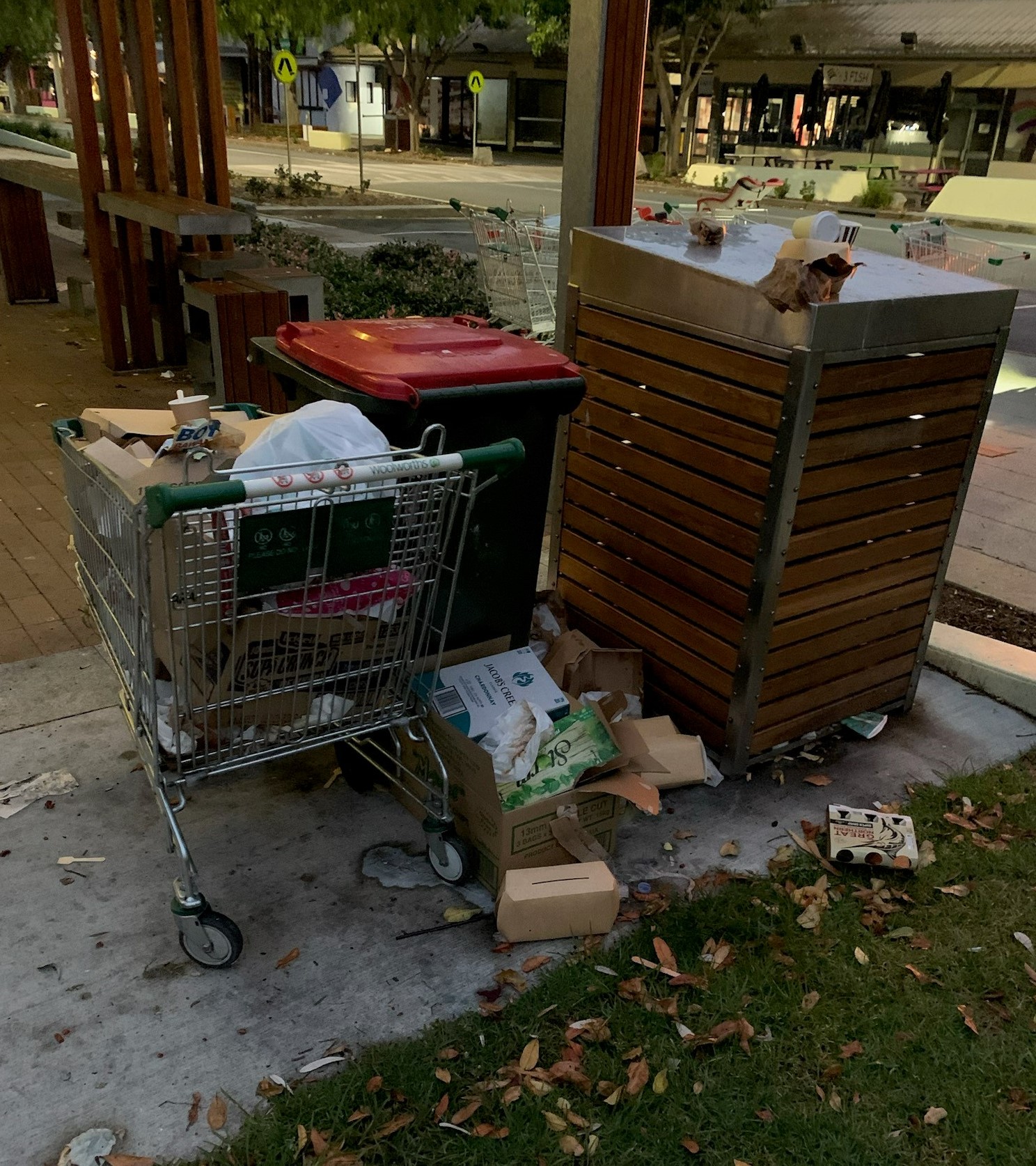 council street bins overflowing