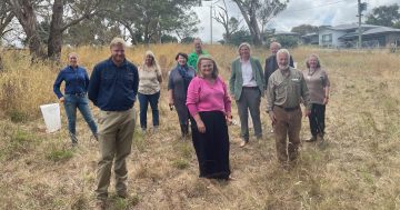 New ecological bushland park grows on Gunning