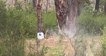 Smouldering campfires pose 'significant risk', trigger Black Summer bushfire victims