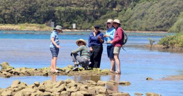 Installation of pontoon at Wagonga Inlet planned for 2023