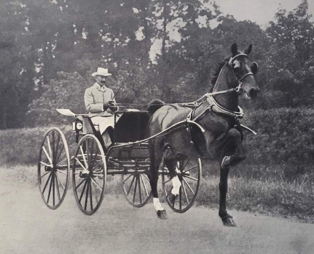 man, horse and carriage