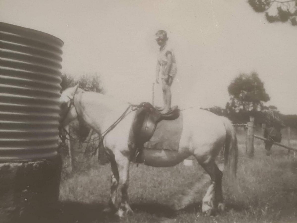 boy standing on saddled horse