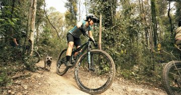 Construction for new South Coast mountain biking trails to commence next week