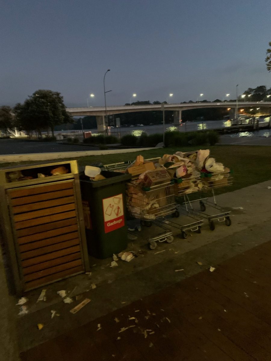 Two bins and a trolley full of rubbish