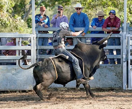 man riding a bull