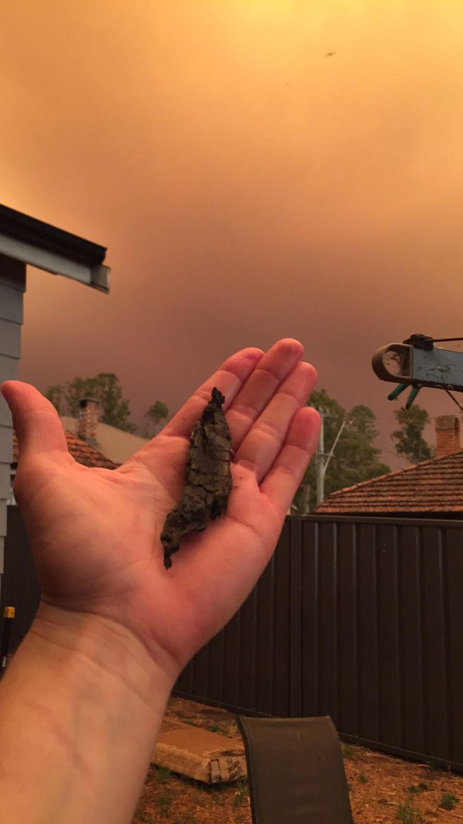 ash in hand
