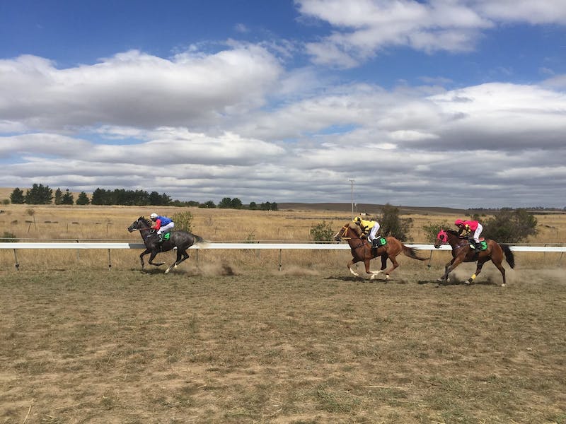Horses racing in Yass