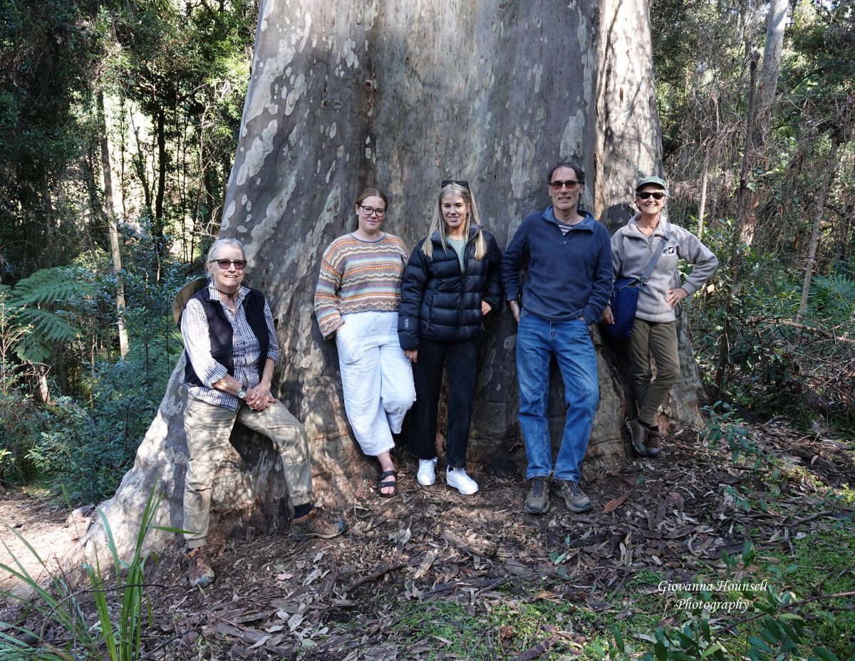 group in front of large tree