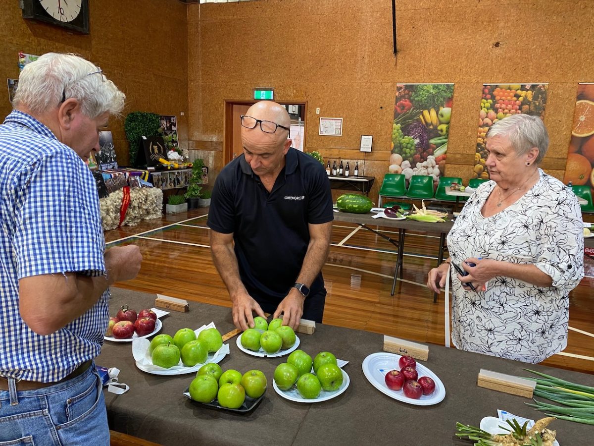 Man judging green apples at a show