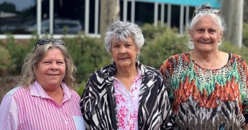 'Help us keep our dreaming alive': Moruya cultural heritage area gets unanimous support