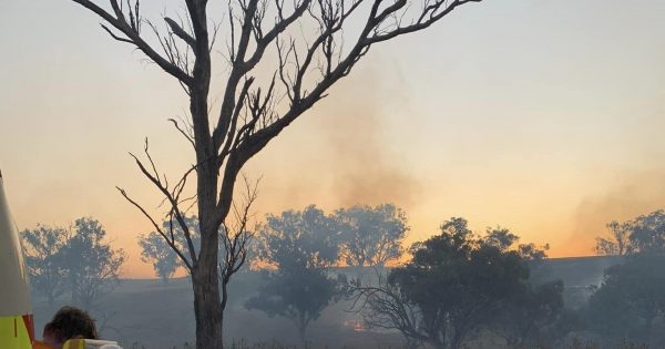 Cottage, stock destroyed as winds fanned grassfires at Nerrangullen and Breadalbane