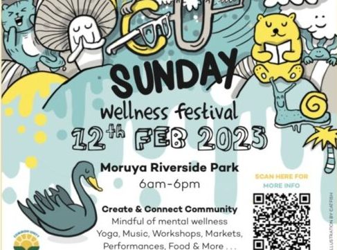 C U Sunday Wellness Festival poster