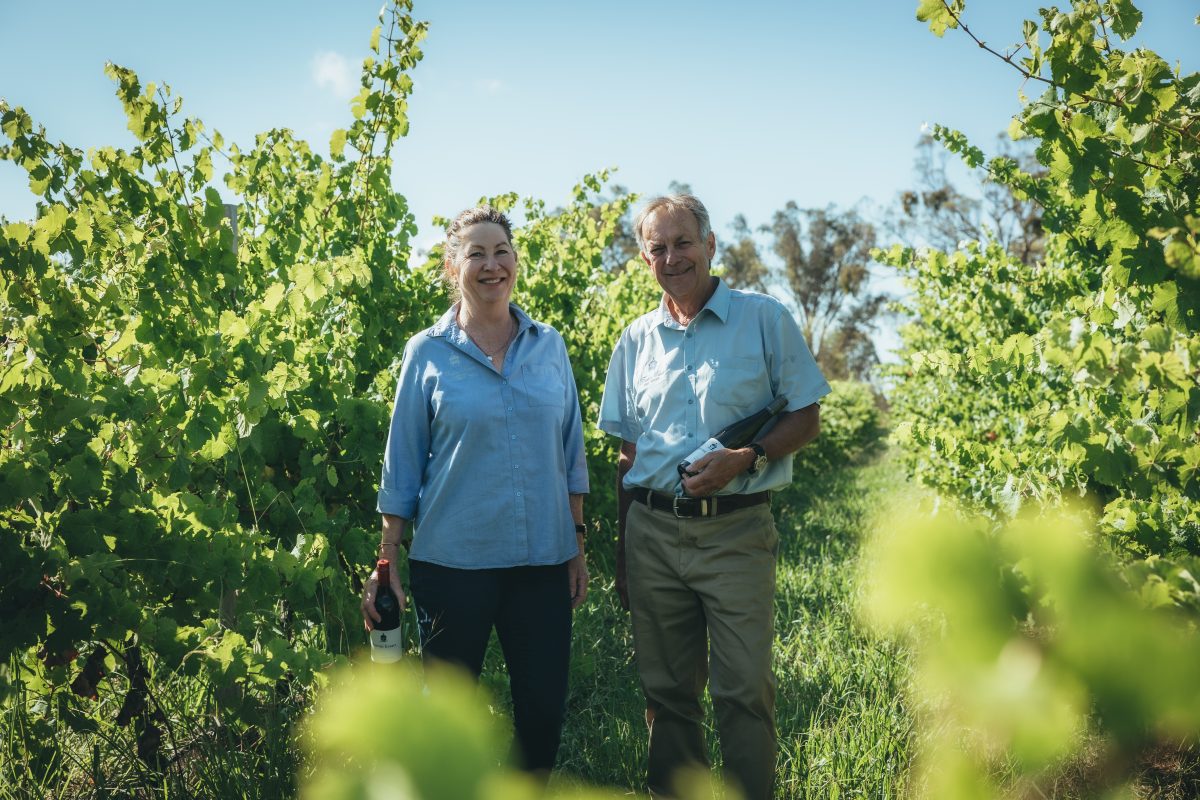 two people standing in a vineyard