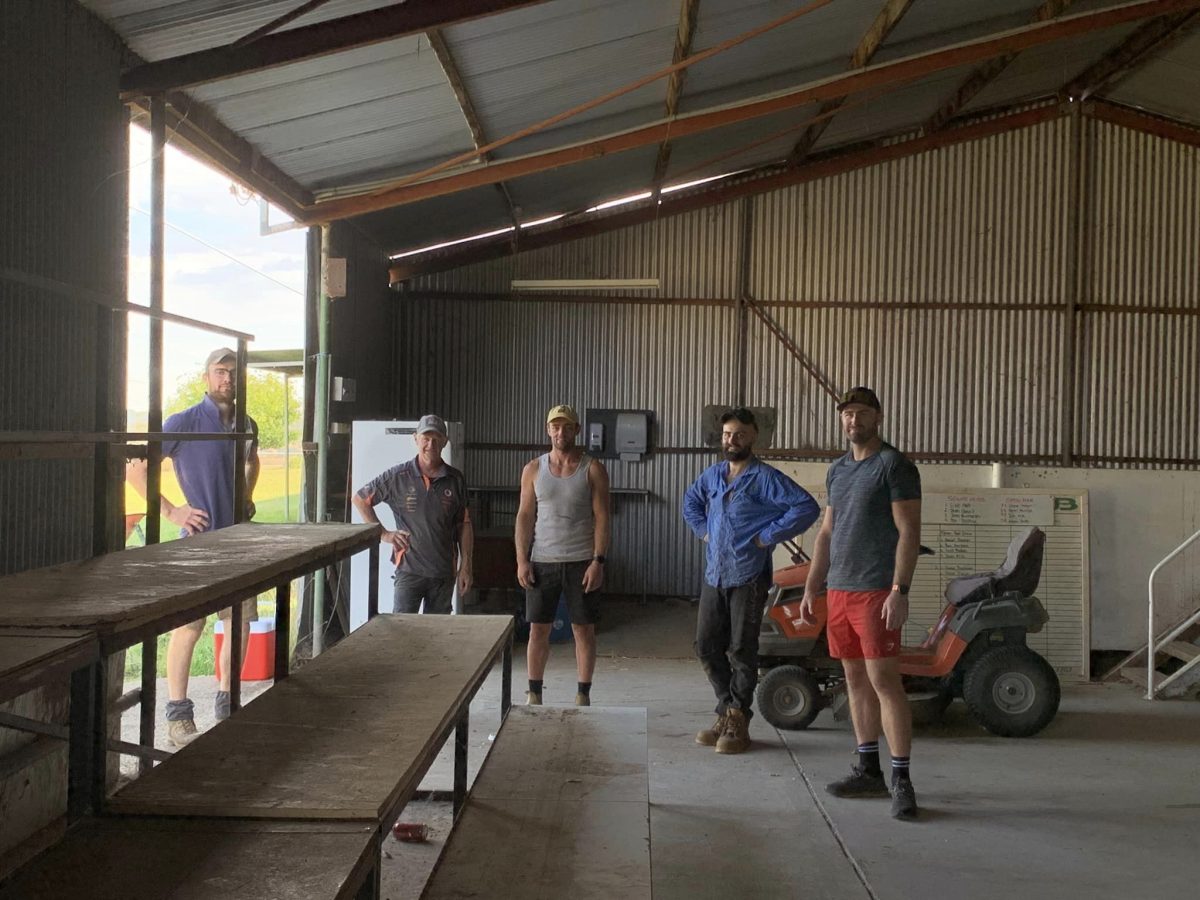 Five men in shearing shed.