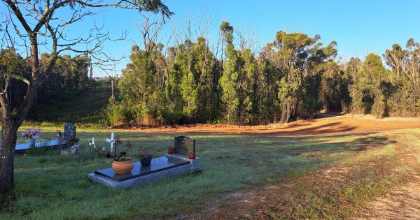 Eurobodalla council flags April deadline for bushfire waste clearing