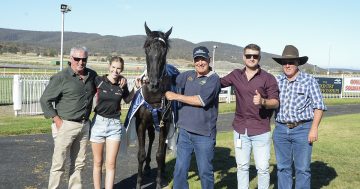 Cooma racehorse owners chasing fairytale result this weekend