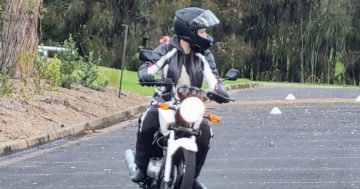 Eurobodalla's road casualty stats revealed, council wants input on safety plan