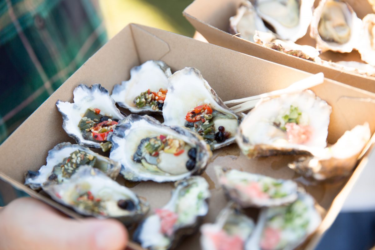 Oysters
