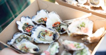 Things to do in the regions this week (2 to 8 May)