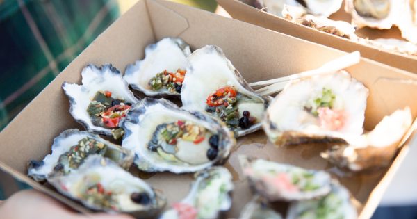 Things to do in the regions this week (2 to 8 May)