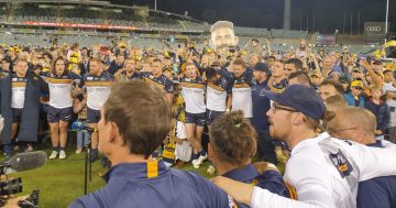 Bringing the Brumbies to their fans