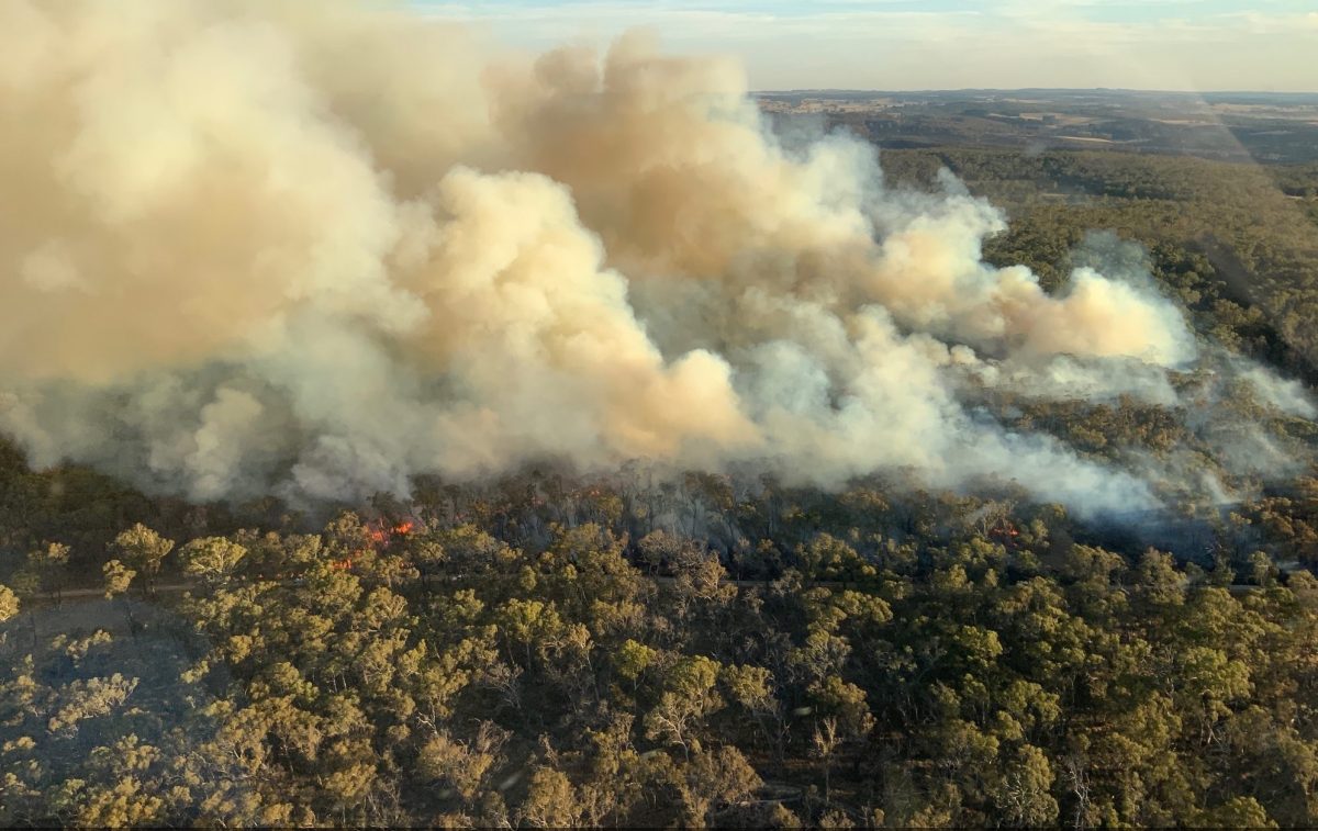 Smoke coming from a bushfire