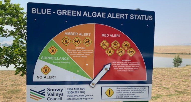 algae alert sign