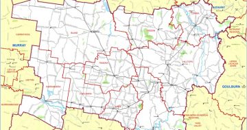 Seven candidates line up for Cootamundra amid roads, health and education concerns