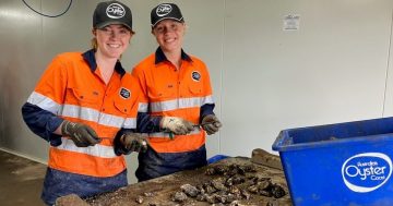 The world is their oyster - trainees having a pearler of a time working in aquaculture industry