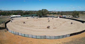 New facility carved out of Wallendbeen equine history