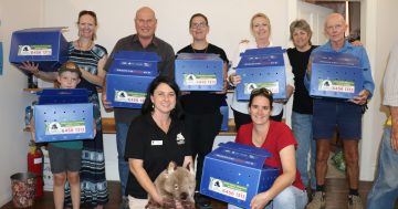 Grants to the rescue as wildlife carers receive much-needed support