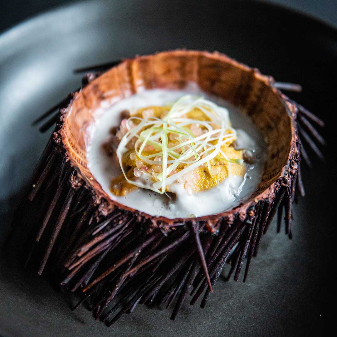 Sea urchin dish