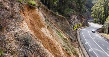 Kings Highway named third worst road in NSW: NRMA