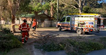 On the frontline, or behind the scenes, Eurobodalla SES shouts out for recruits