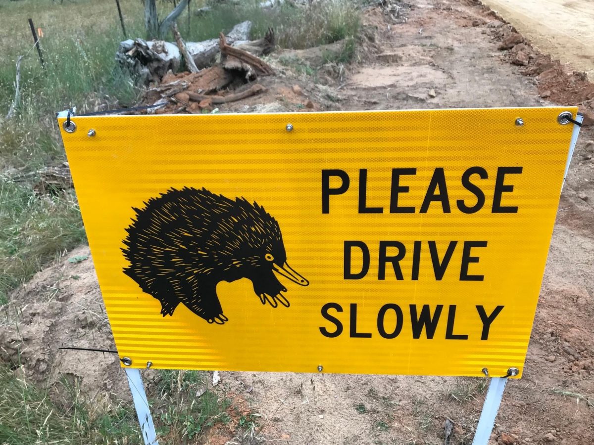LAOKO wildlife warning signs.