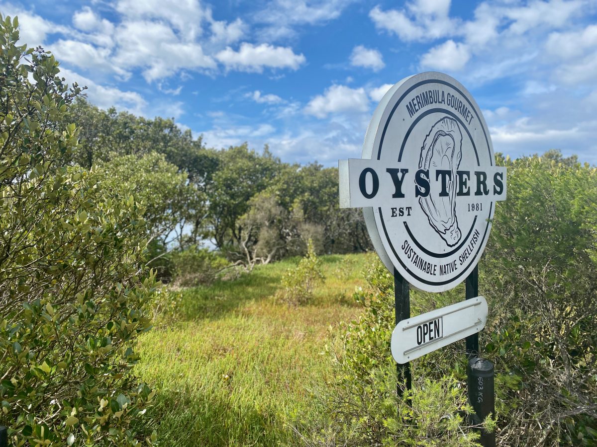 Sign for Merimbula Gourmet Oysters with illustration of an oyster. 