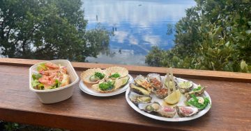 A shell with a view: The Oyster Barn dishes up delicious local seafood