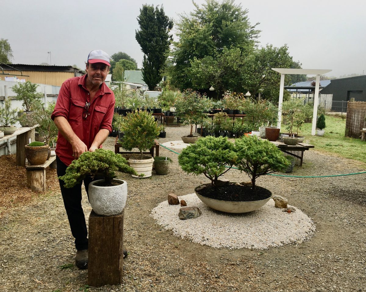 Michael Thorpe with his bonsai plants