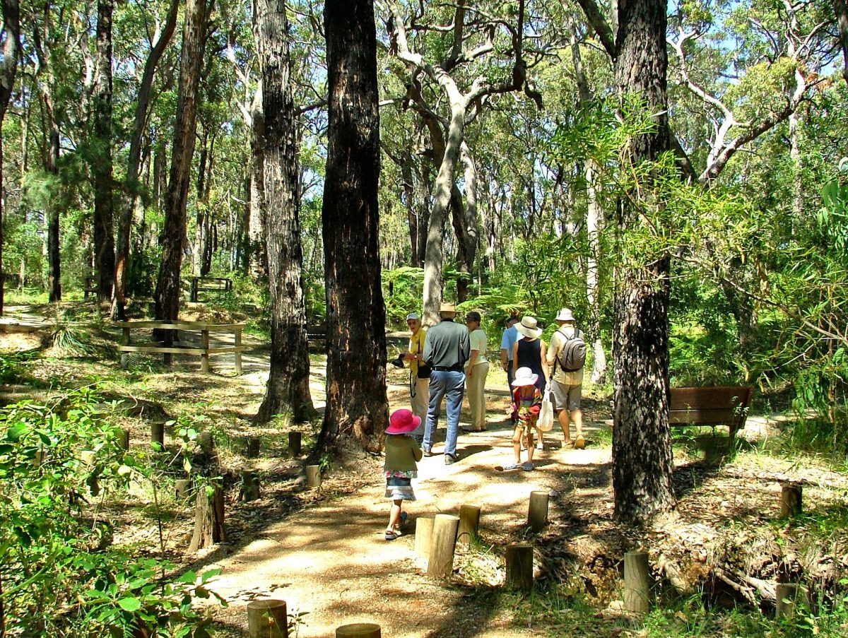 People walking along a path among trees