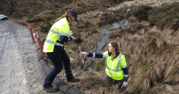 Snowy Hydro contractor fined $30,000 for alleged pollution in Kosciuszko National Park