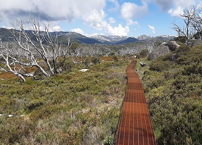 Alpine walkway