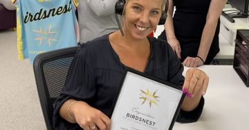 birdsnest adds huge feather to its cap with top online retail award