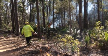It's time for hazard reduction burns in coastal forests ahead of summer