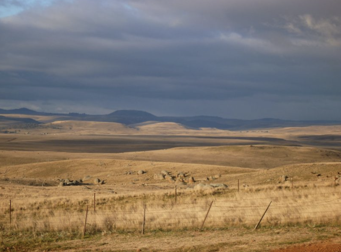 Monaro grasslands.